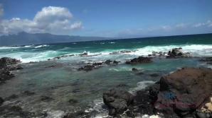 Kyler wants to see the turtles and explore with you.