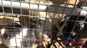 Nicole Nichols Temecula Part 3